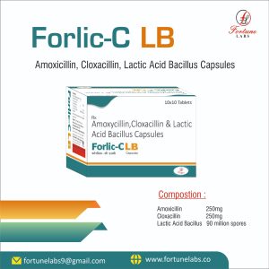 Forlic CV LB